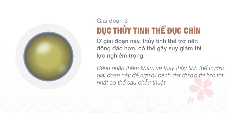 giai-doan-duc-thuy-tinh-the